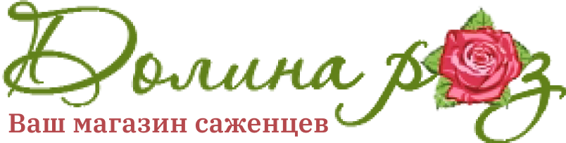 Долина роз